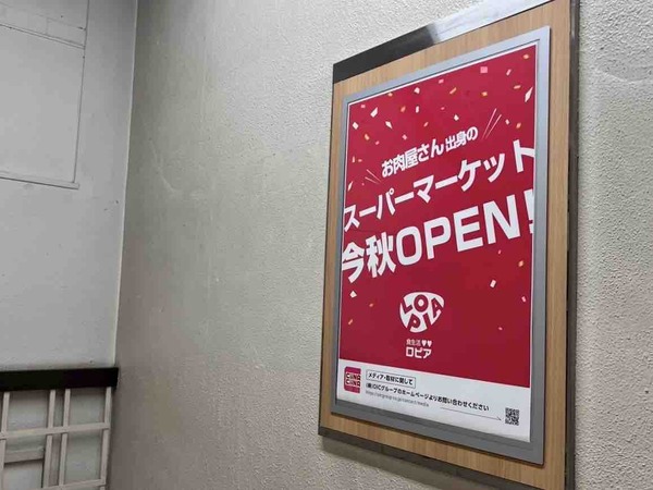 CiiNA CiiNA 新潟 食生活 ロピア オープン 延期