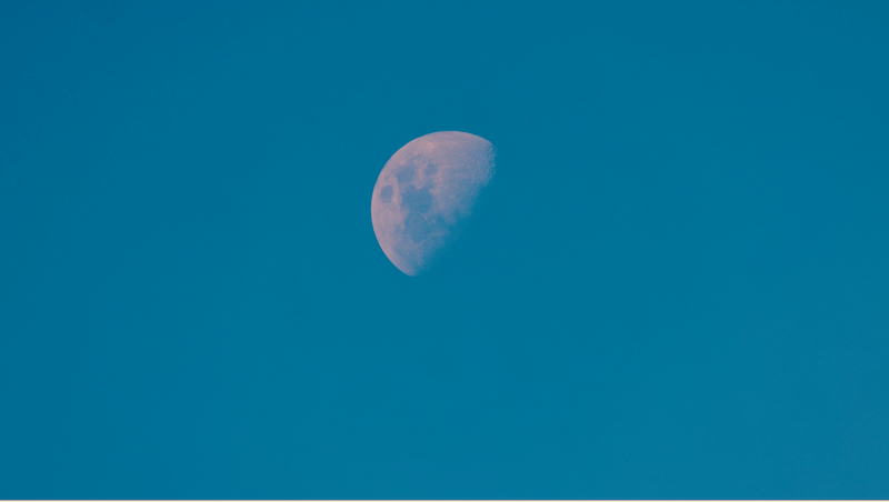 スクリーンショット 2025-06-06 8.50.25