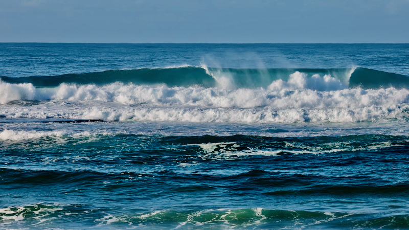 スクリーンショット 2025-05-31 8.51.53