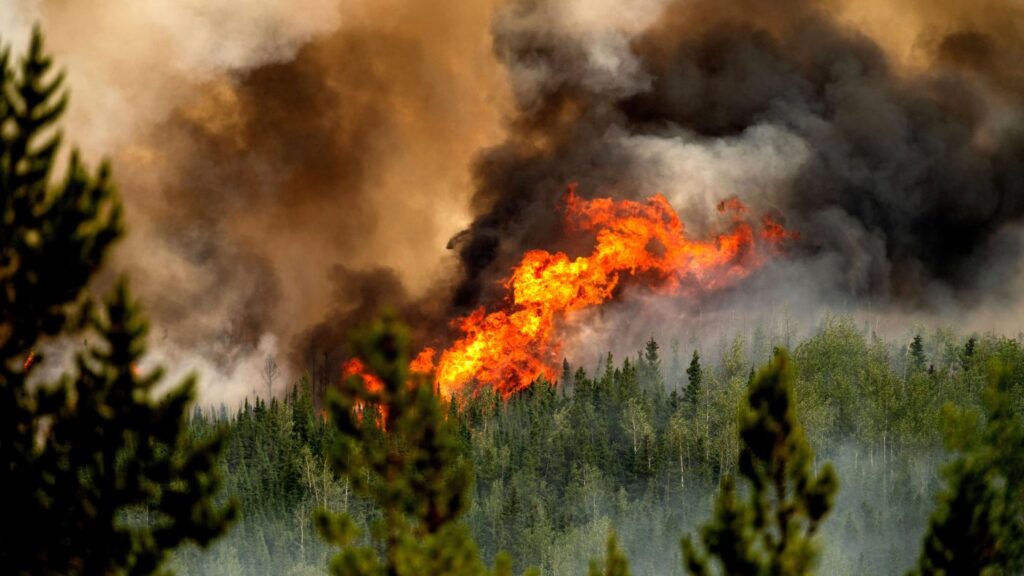 MIT Tech Review: カナダの記録的山火事で明らかになった気候変動の悪循環