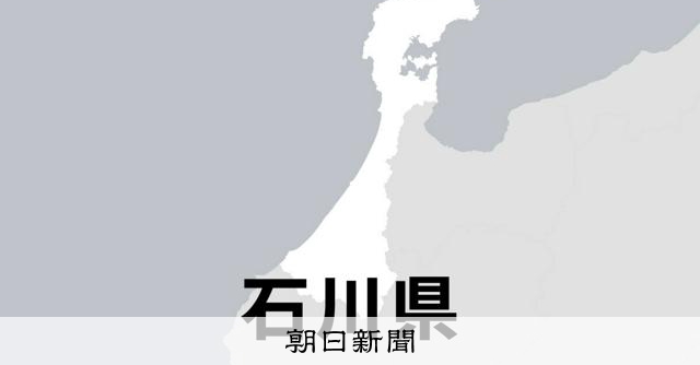 高校野球石川大会で子ども始球式、決勝など3試合の前に　参加者募集 - 高校野球 [石川県]：朝日新聞