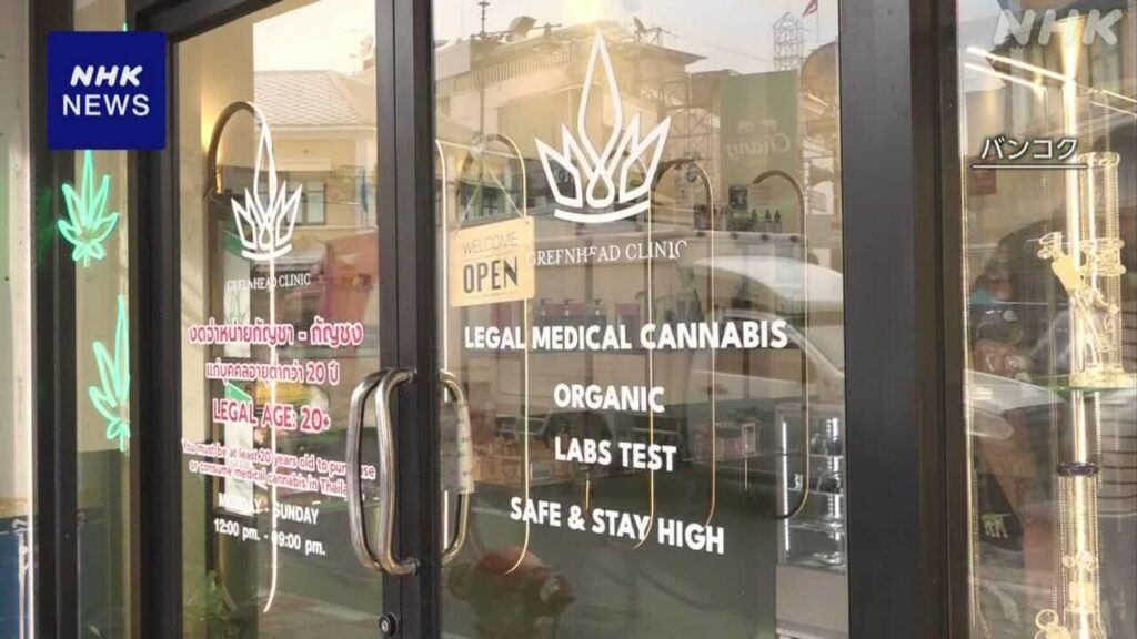 タイ 医療用大麻解禁3年 娯楽目的の使用広がり再び規制強化へ