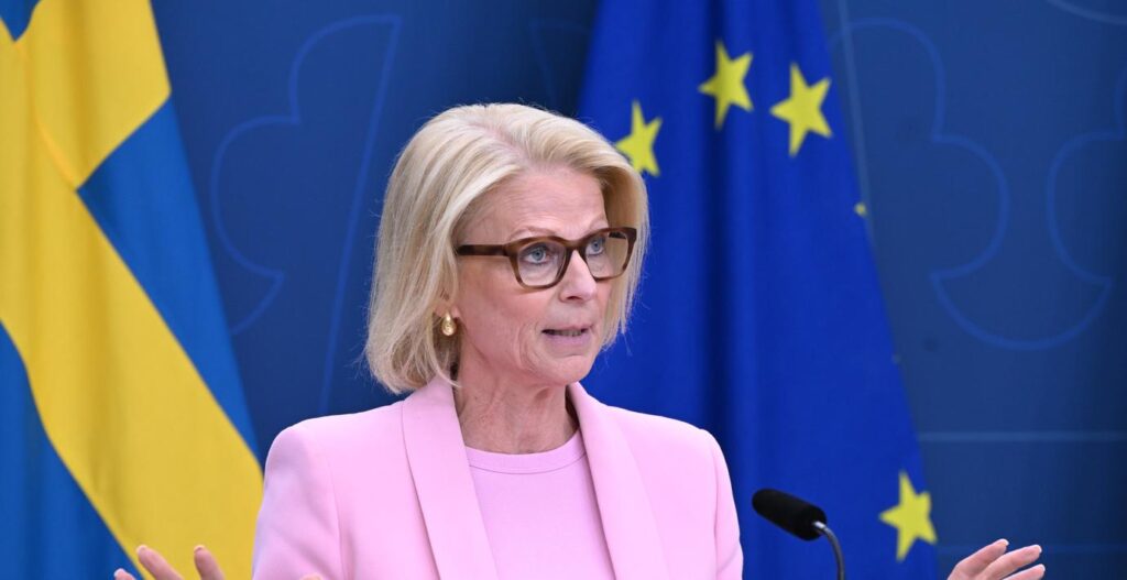 スウェーデンに社会保障番号がない100,000を超える