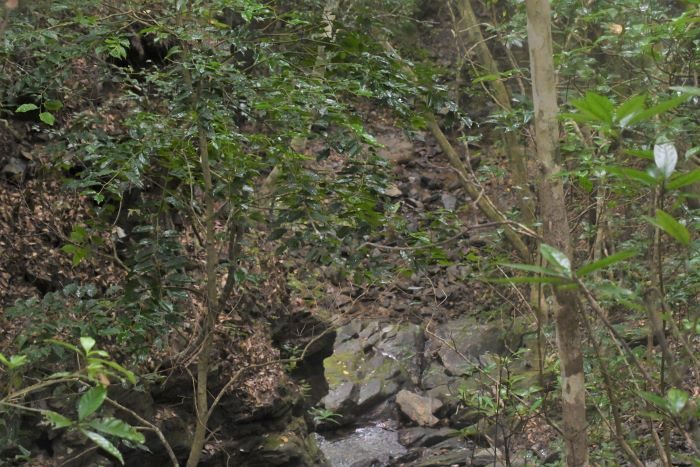 写真展「『集団自決』消せない傷痕」　県庁1階・県民ホールで16日～20日　9.29の会　沖縄戦80年 - 琉球新報デジタル