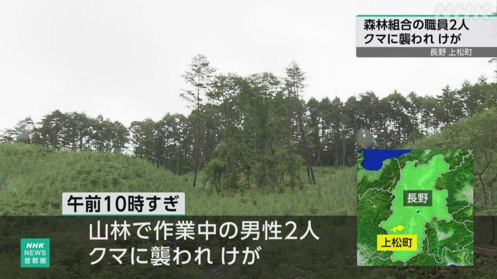 長野 上松町 森林組合の職員2人 クマに襲われけが - nhk.or.jp