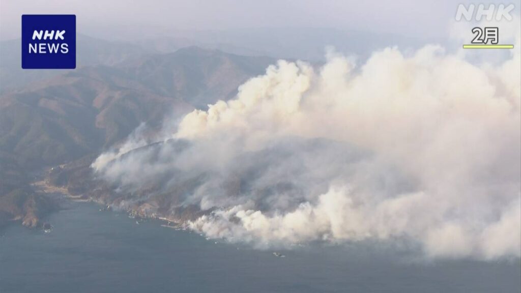 岩手 大船渡 山林火災発生4か月 私有林多く森林復旧作業に課題 - nhk.or.jp