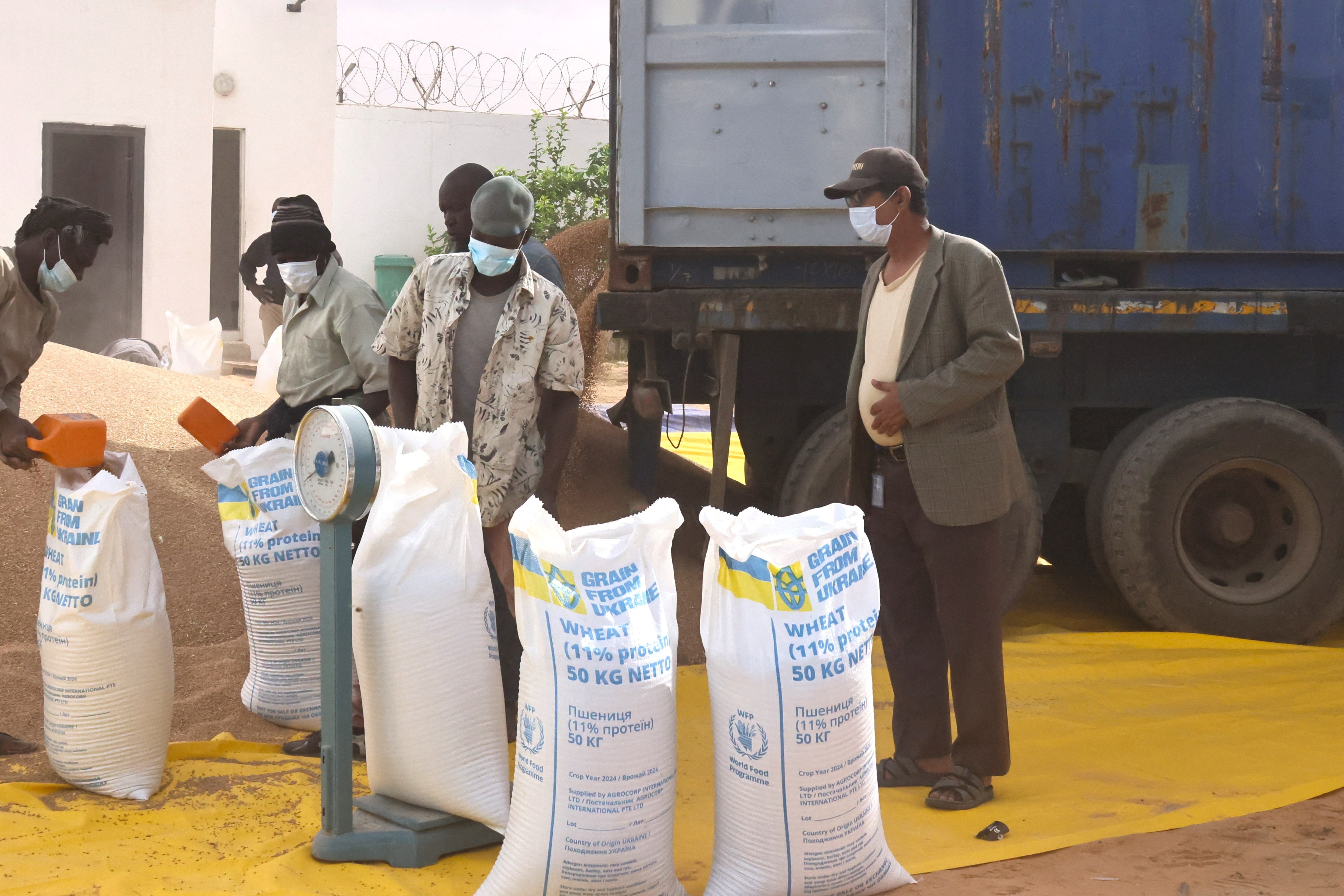 焦点：ウクライナ、対ロシア戦の一環でアフリカ諸国に接近　食糧支援が軸