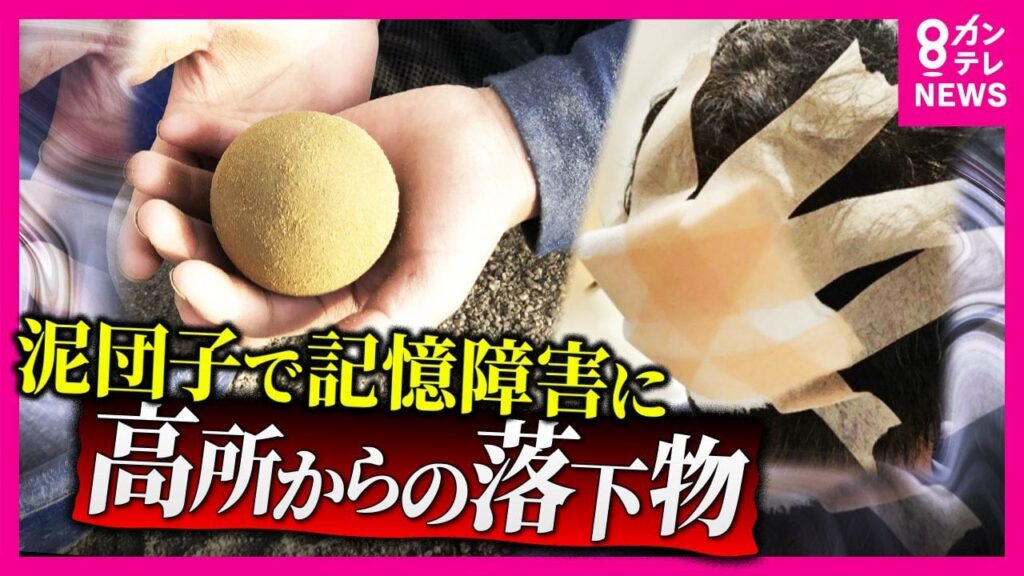 『落下物』が凶器に　子供が投げた泥だんごで50代男性記憶障害　タワマンから男性落下で巻き込まれた男性も死亡　加害者にも被害者にもなる恐れ