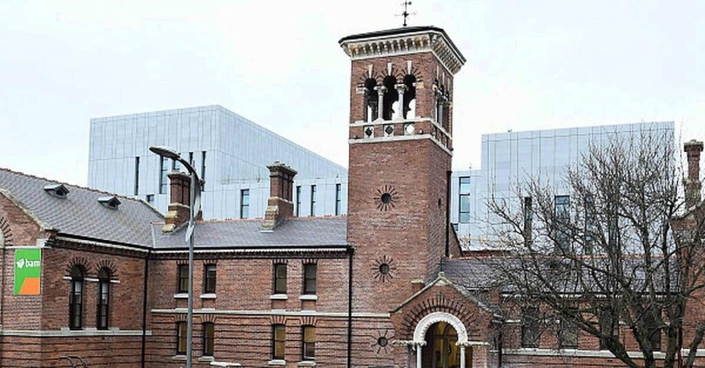 アイルランドの家庭内虐待