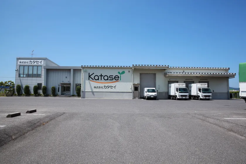 直売セール会場