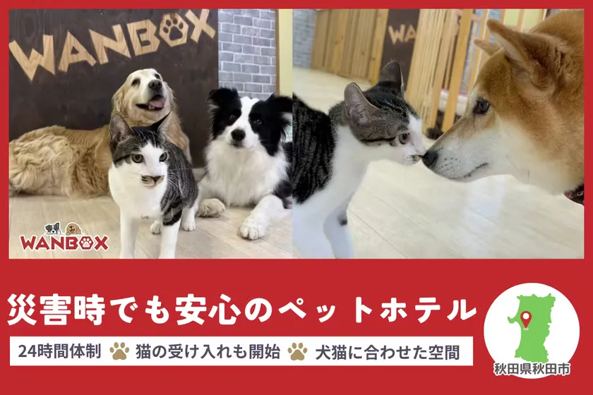 トップ