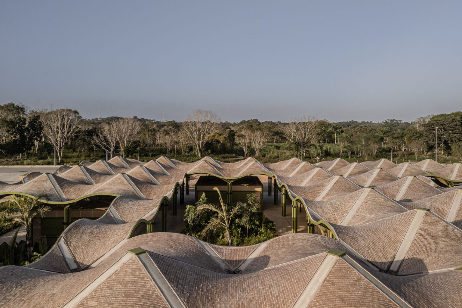 "逆さの傘"がグリッド状に連続する曲面屋根〈ニコラス・ブラボ市場〉Mercado Nicolas Bravo, designed by AIDIA STUDIO ｜流行・トレンド・海外事例｜TECTURE MAG（テクチャーマガジン） |　空間デザイン・建築メディア