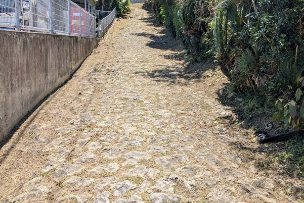 宜野湾の野嵩石畳が沖縄県史跡に　近世琉球期の幹線道路　市立博物館でパネル展も