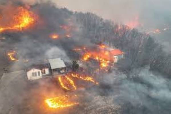 Wildfires Kill At Least 24 People In South Korea, 19 Injured -