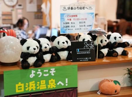 パンダ全４頭、最後の一般公開　和歌山、２８日に中国返還へ - 琉球新報デジタル