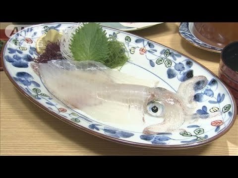 【乱獲J】函館漁港のスルメイカ初セリ中止　“不漁”すぎて異例の事態　「もう廃業だね本当に廃業。やってられない…。助けてちょうだい」　90年代後半には40万トンを超える漁獲量だったがここ数年は5万トン以下