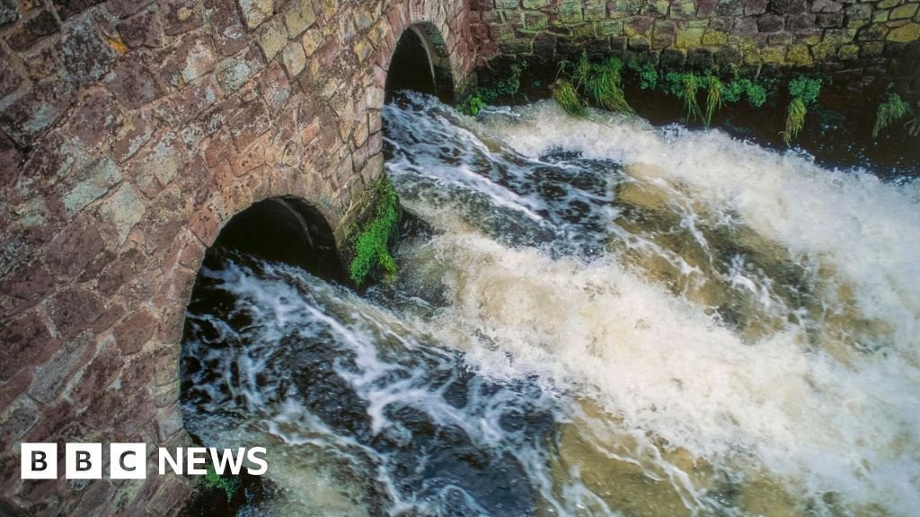 6つの水会社で禁止されているボスのボーナス-BBCニュース