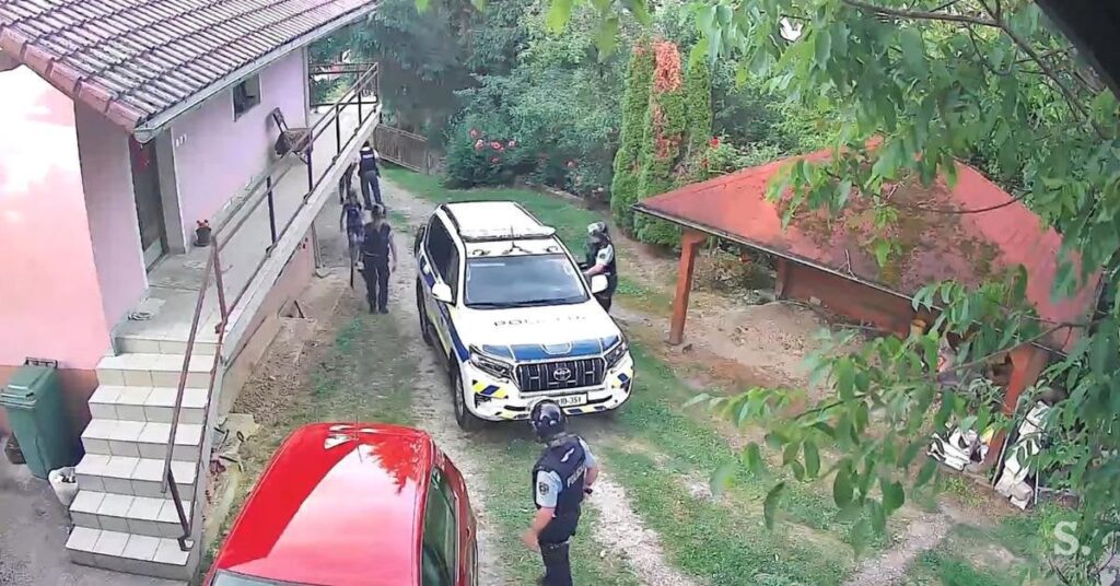 Dolenjskaでの事件：17 -YEAR -ELD警察官に対してAX #Videoを投げる