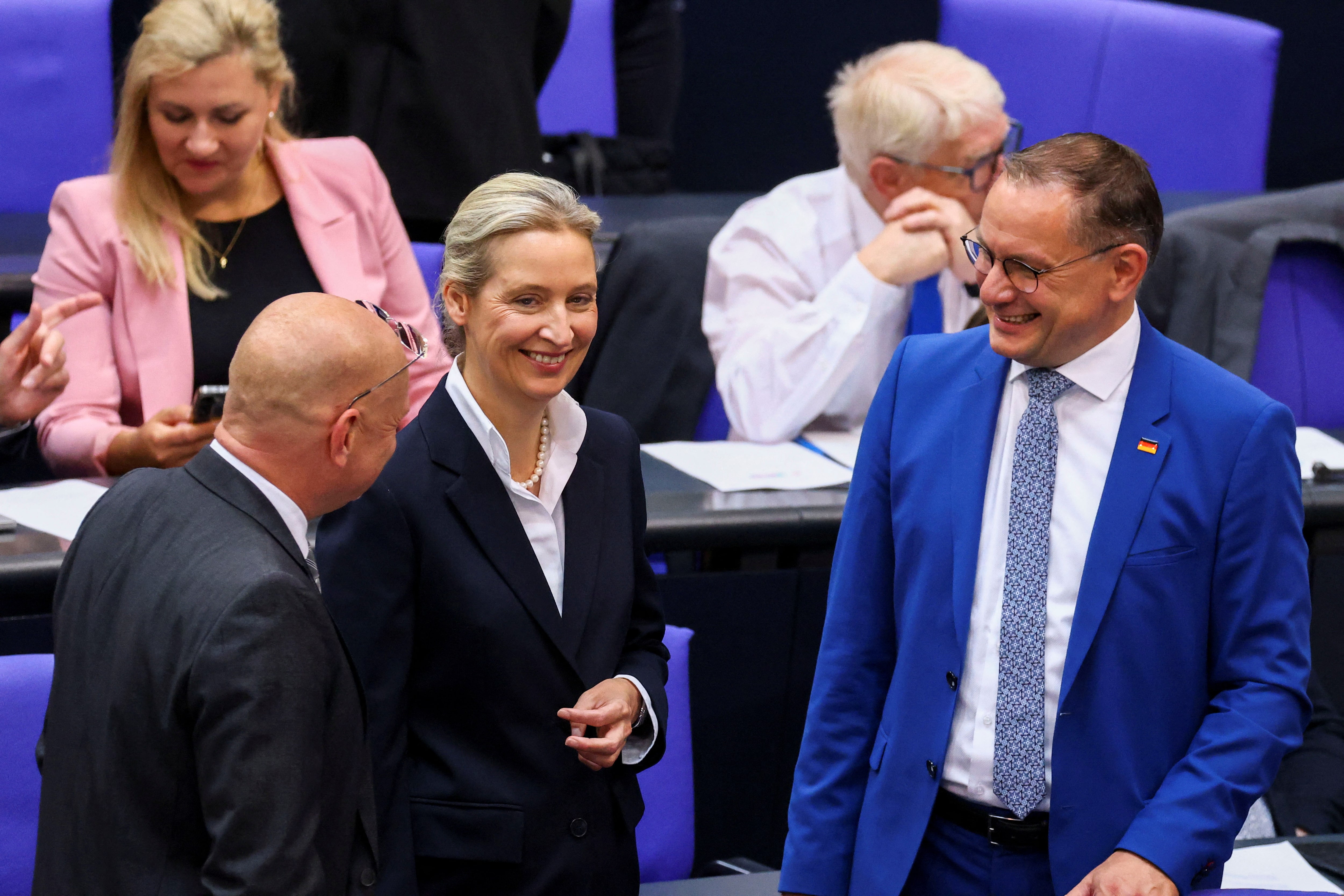 ドイツ極右政党ＡｆＤ、過激主義者が急増＝情報機関報告書