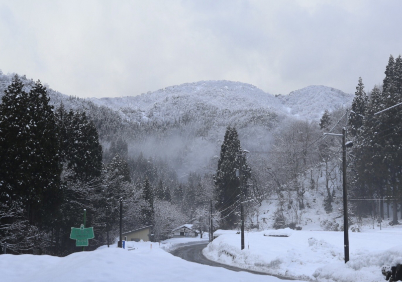 【大野市】real local福井の記事が生んだ移住　山本響さん（前編）