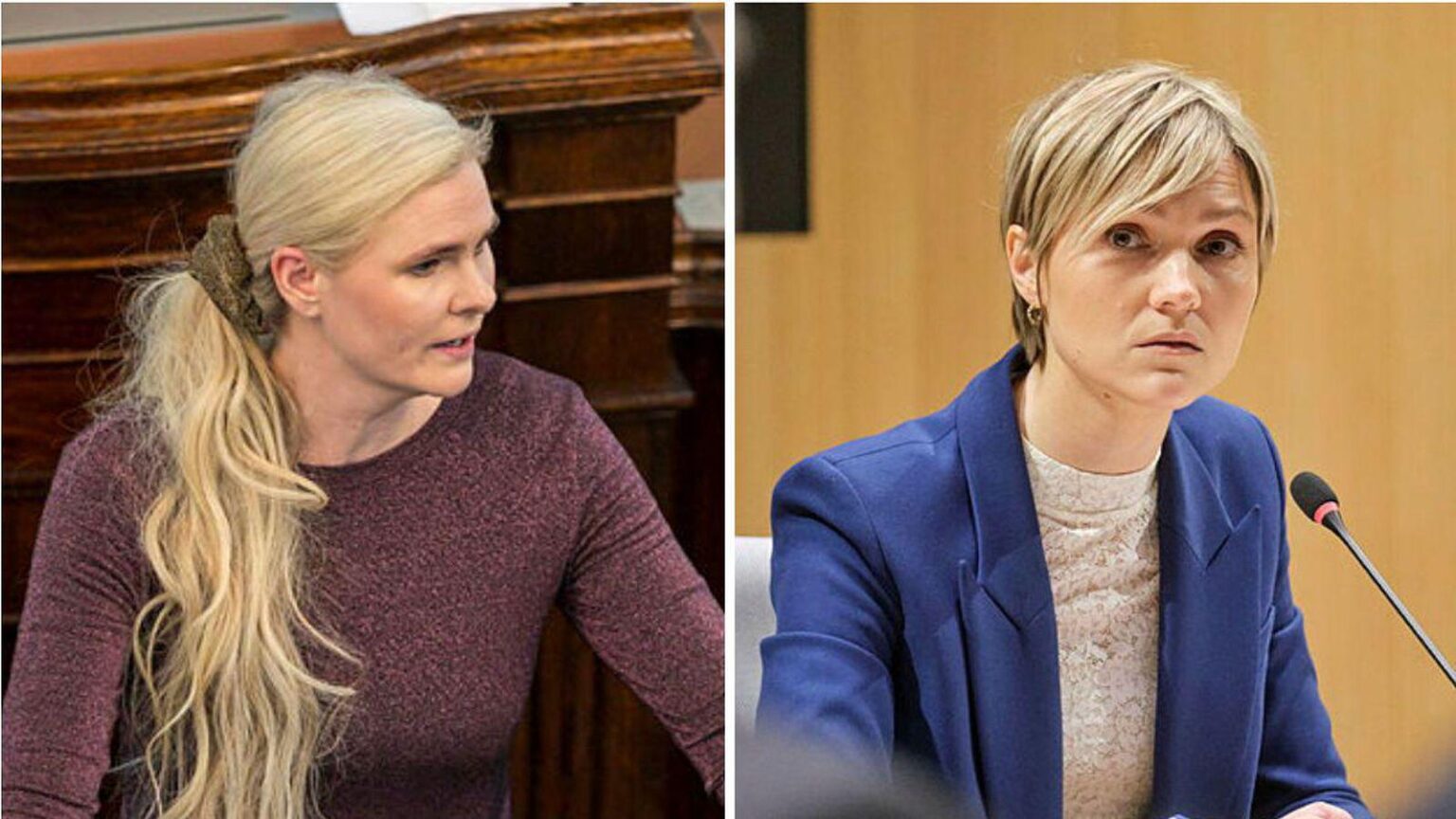 偽のニュースに対するKristrúnのコメントのために運動：「この恥ずべき、不快なコメント」