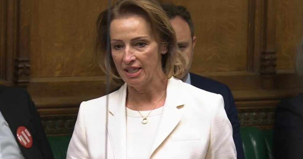 改革英国議員のサラ・ポチンは、ブルカを禁止することを求めています