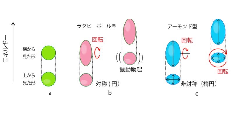 原子核の形状は「アーモンド」－定説を覆し、70年経て浮かび上がった真の姿－