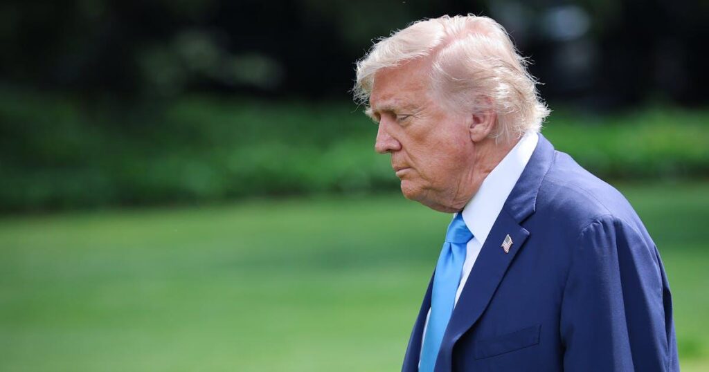 トランプの軍事パレードは、哀れな大統領にとって哀れな出来事でした