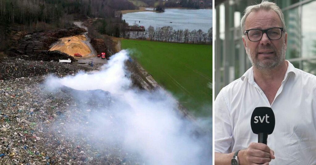 ピンクの2人の元CEOがスウェーデンの最大の環境スキャンダルで刑務所を宣告されたと思う