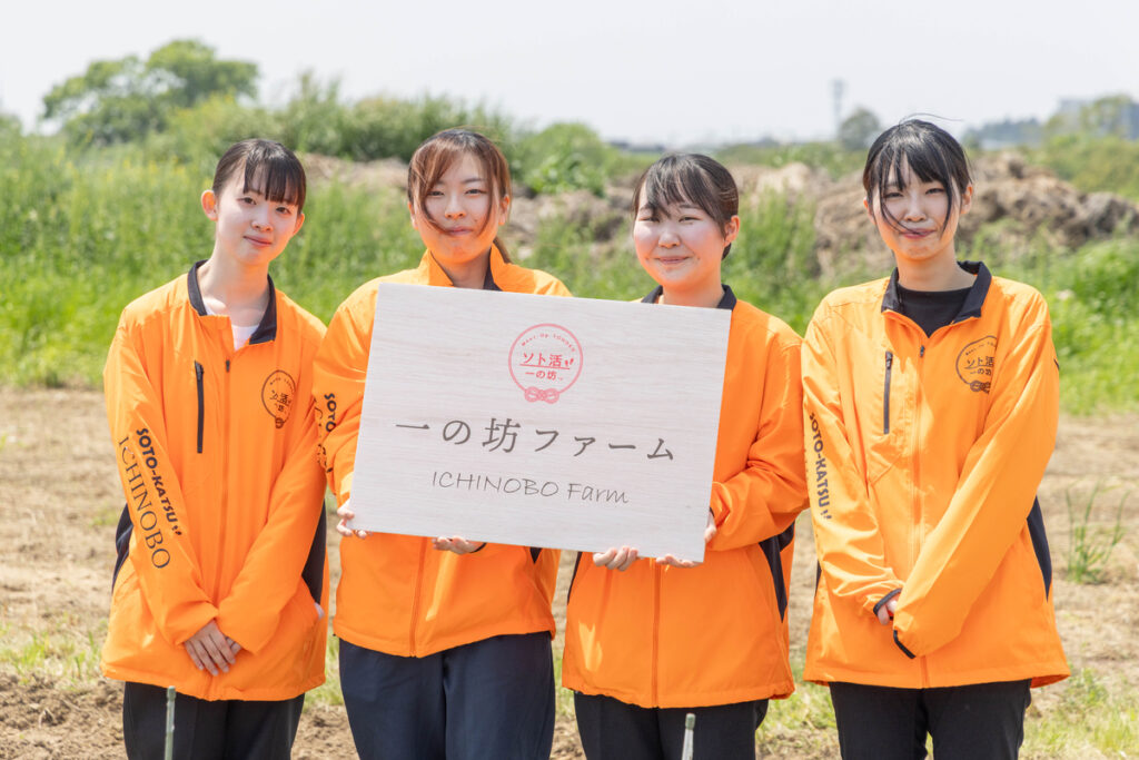 サステナブルな食への取り組み ― 温泉リゾート×みやぎの野菜農家「一の坊ファーム」新入社員と料理長による種まき・収穫体験 ― | NEWSCAST とうもろこしの苗