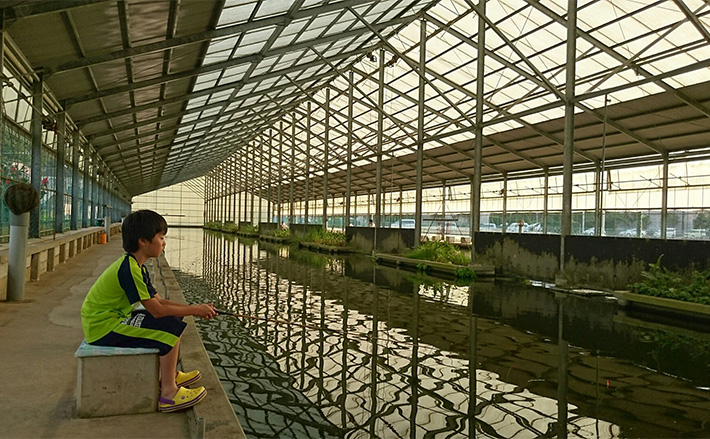 「雨でも釣りがしたい!」千葉県のオススメ室内釣り堀4選 ファミリーフィッシングにも最適 | TSURINEWS 「雨でも釣りがしたい!」千葉県のオススメ室内釣り堀4選 ファミリーフィッシングにも最適