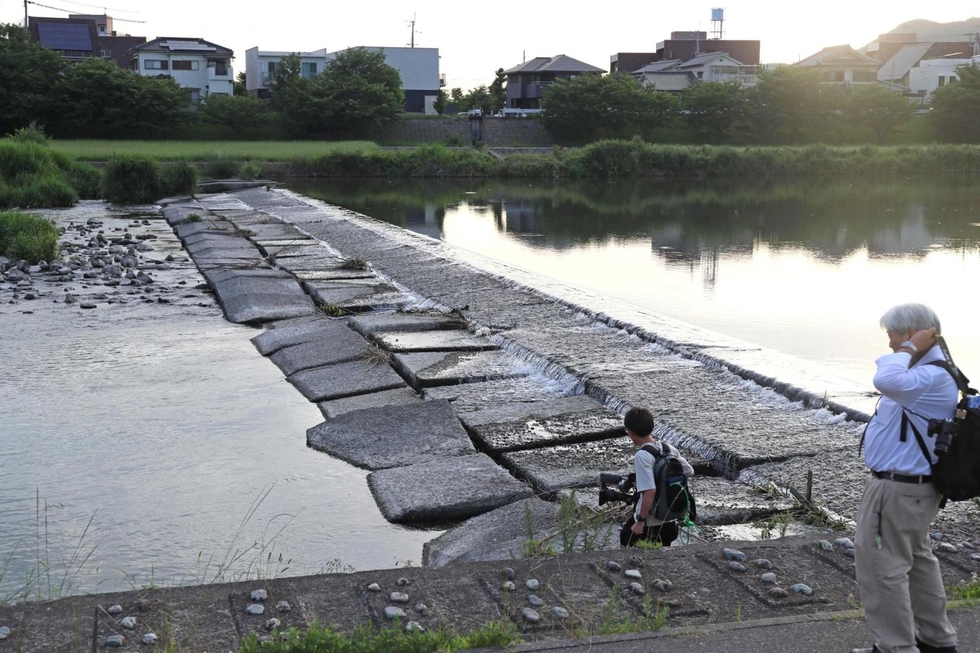 友人と川遊び中に溺れたか 男子中学生が心肺停止で搬送され死亡確認 姫路・夢前川|事件・事故 - 神戸新聞