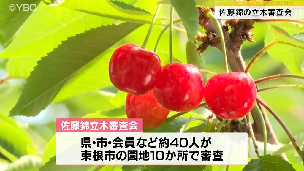 山形放送
