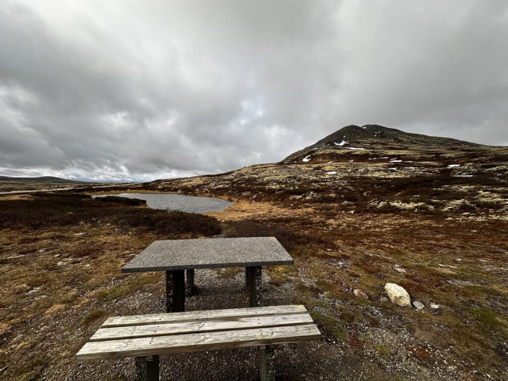 ノルウェーありがとう。私は戻ってきます！
