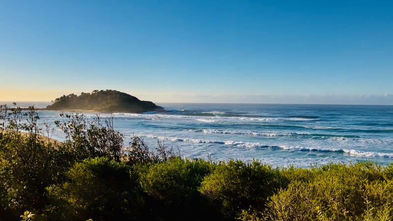 スクリーンショット 2025-05-31 8.45.11