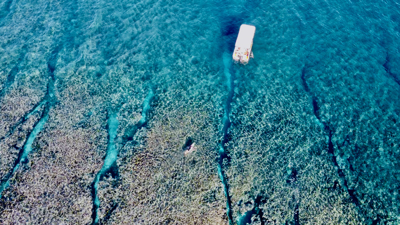 スクリーンショット 2025-06-29 6.08.24