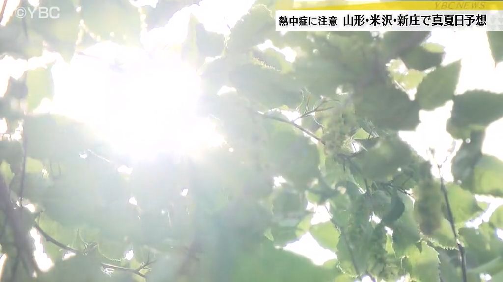 共有