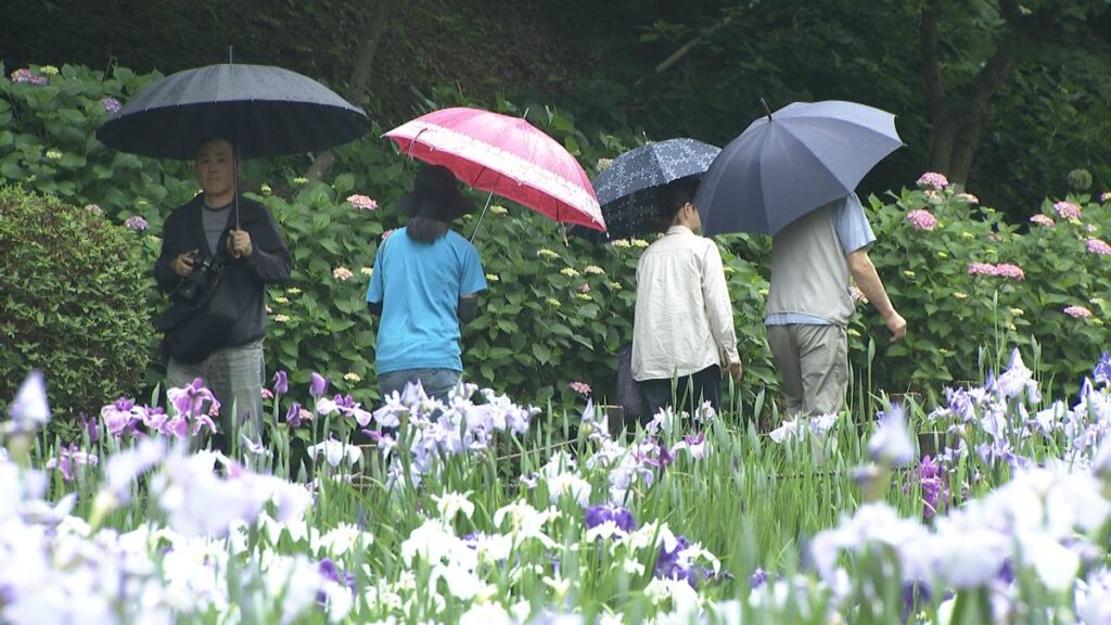 テレビ金沢