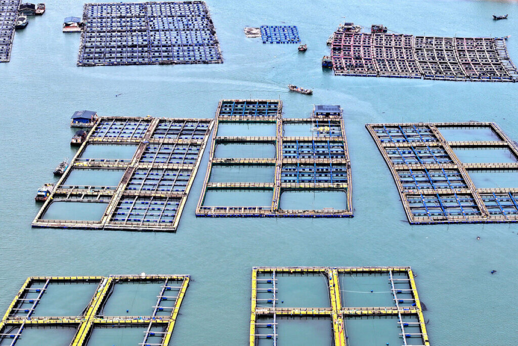 2024年の中国の海洋総生産額、初の10兆元突破