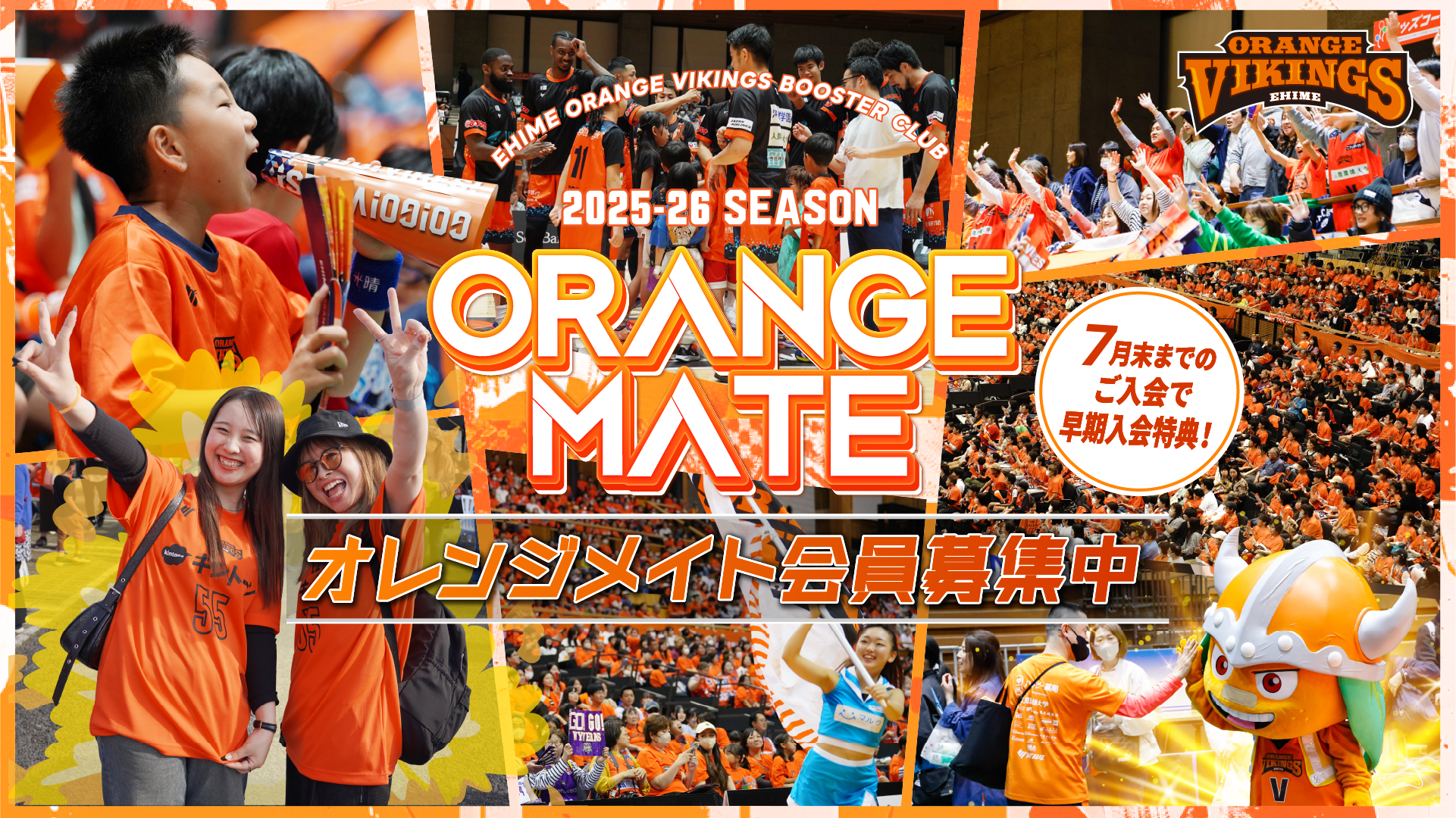 オレンジメイト