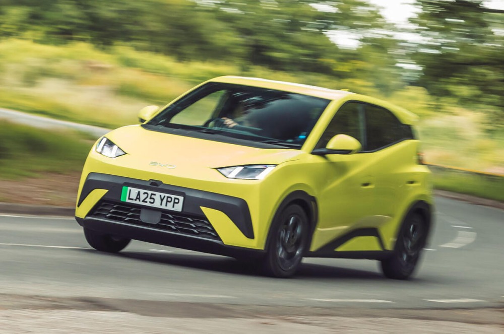 『BYDドルフィン・サーフ』