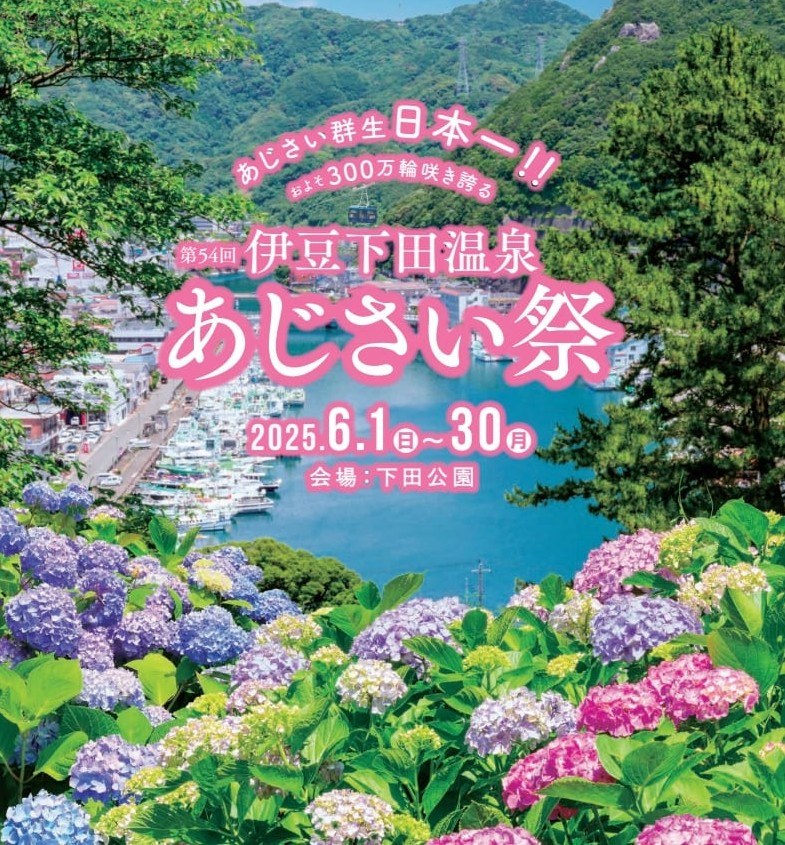 300万輪のアジサイが咲き誇る「あじさい祭」静岡県の下田公園で開催中　多彩なイベントを楽しもう | 鉄道ニュース | 鉄道チャンネル
