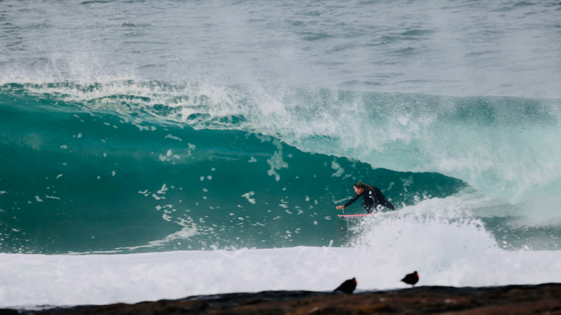 スクリーンショット 2025-06-05 4.53.09