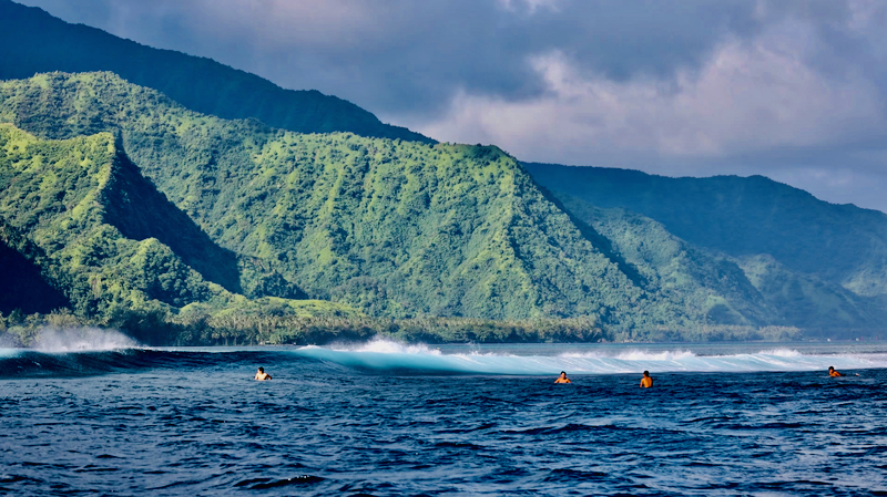 スクリーンショット 2025-06-29 6.29.52