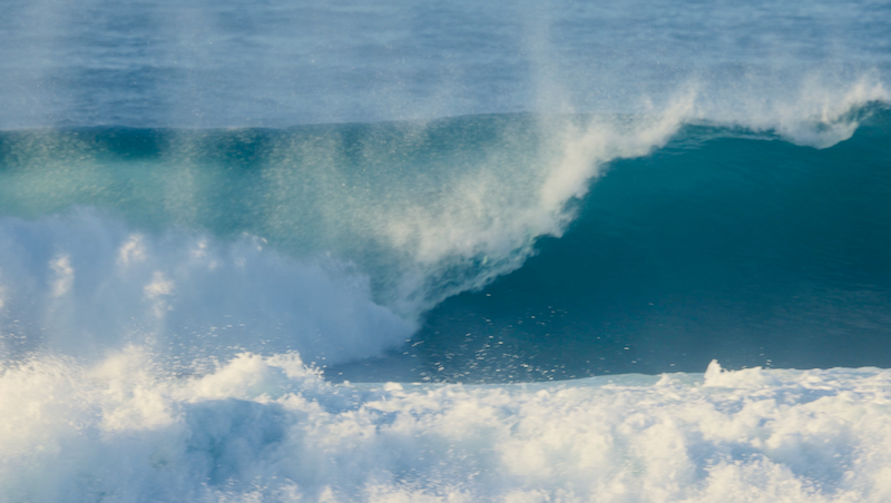 スクリーンショット 2025-06-01 5.59.42