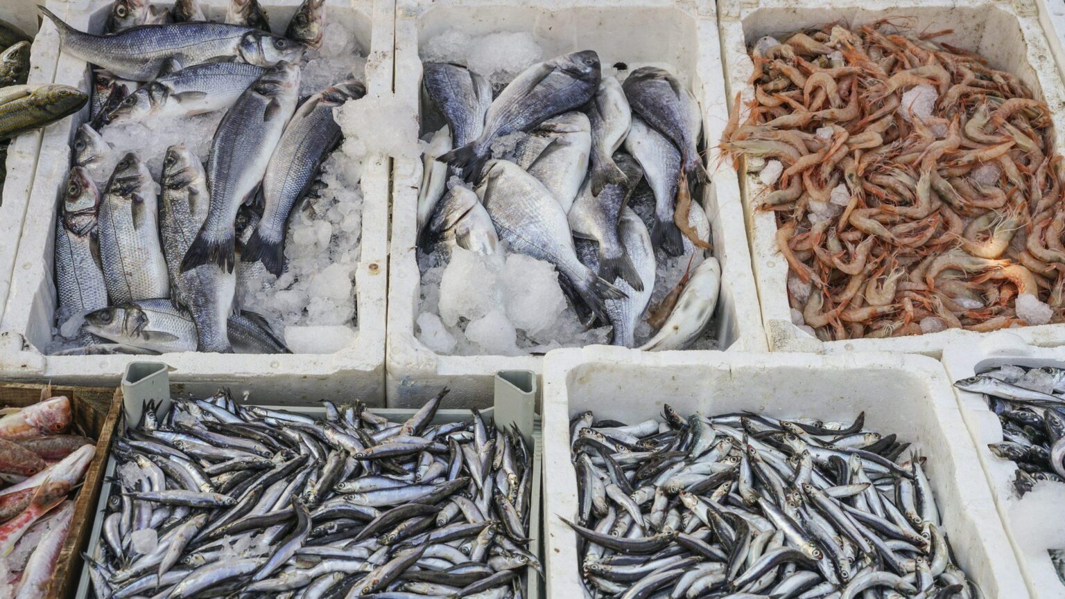 海外メディア「食用にされる魚たちは死ぬとき、凄まじい激痛に何分耐えているか知っていますか？」