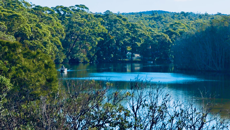 スクリーンショット 2025-06-06 8.22.35