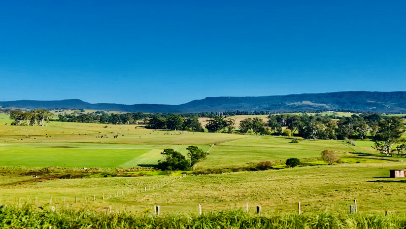 スクリーンショット 2025-06-01 6.03.36