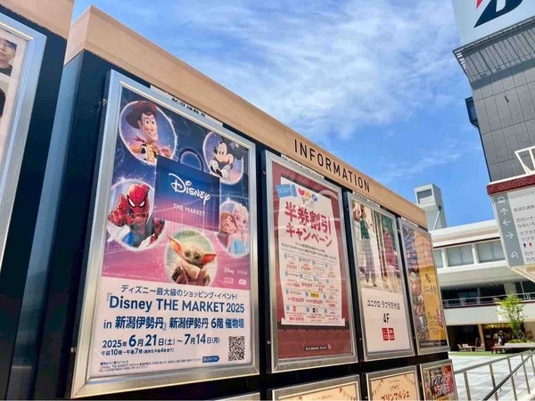 Disney THE MARKET 2025