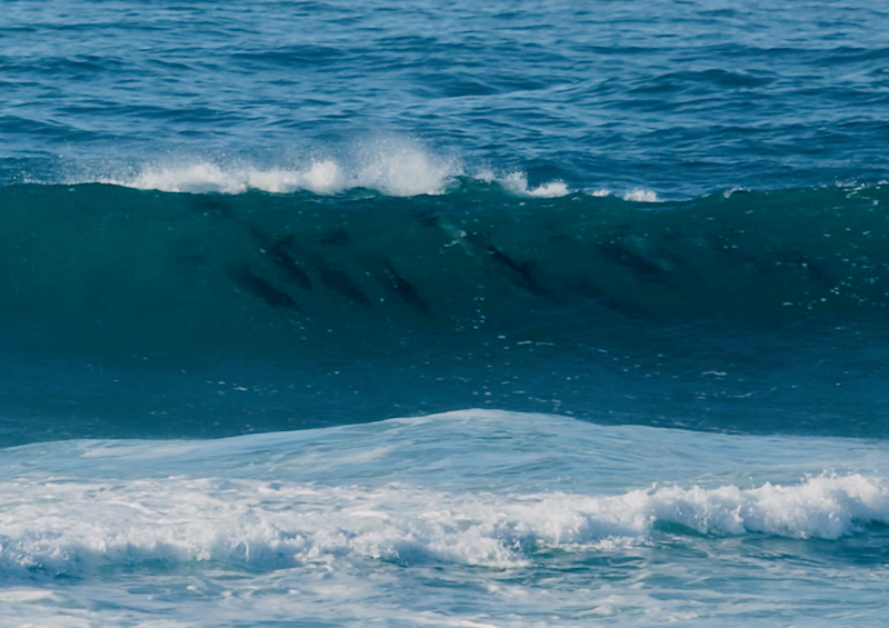 スクリーンショット 2025-05-31 8.53.27